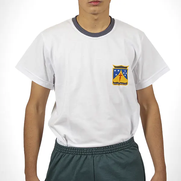 Remera de gimnasia Bachillerato Humanista •LINAJE