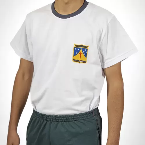 Remera de gimnasia Bachillerato Humanista •LINAJE