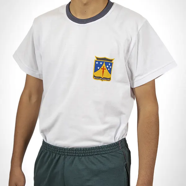 Remera de gimnasia Bachillerato Humanista •LINAJE